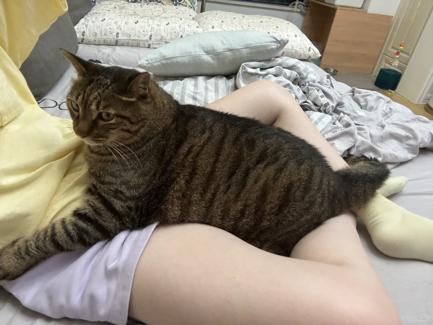 大宝贝，麻麻真的好热，你热不热？