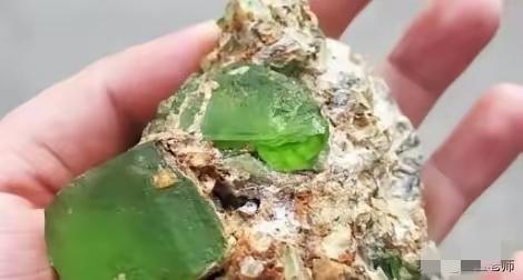 凭什么要求人家把十年心血捡来的橄榄石无偿上交，专家这话也太想当然了。李明为了这些