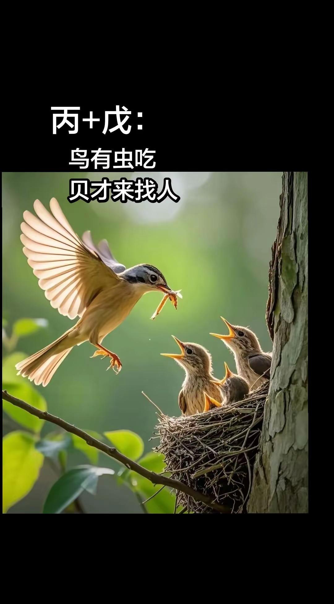 国学溯源 丙+戊的含义。国学智慧 图片来自网络