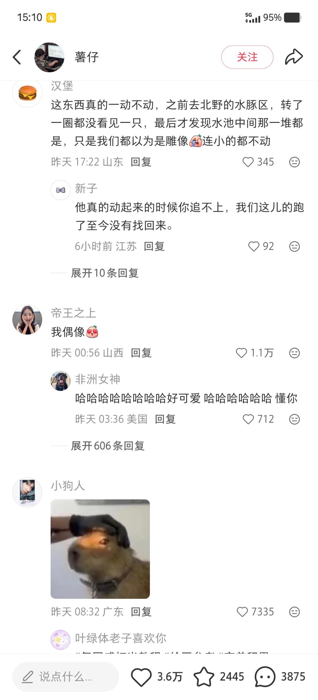 哈哈哈哈 