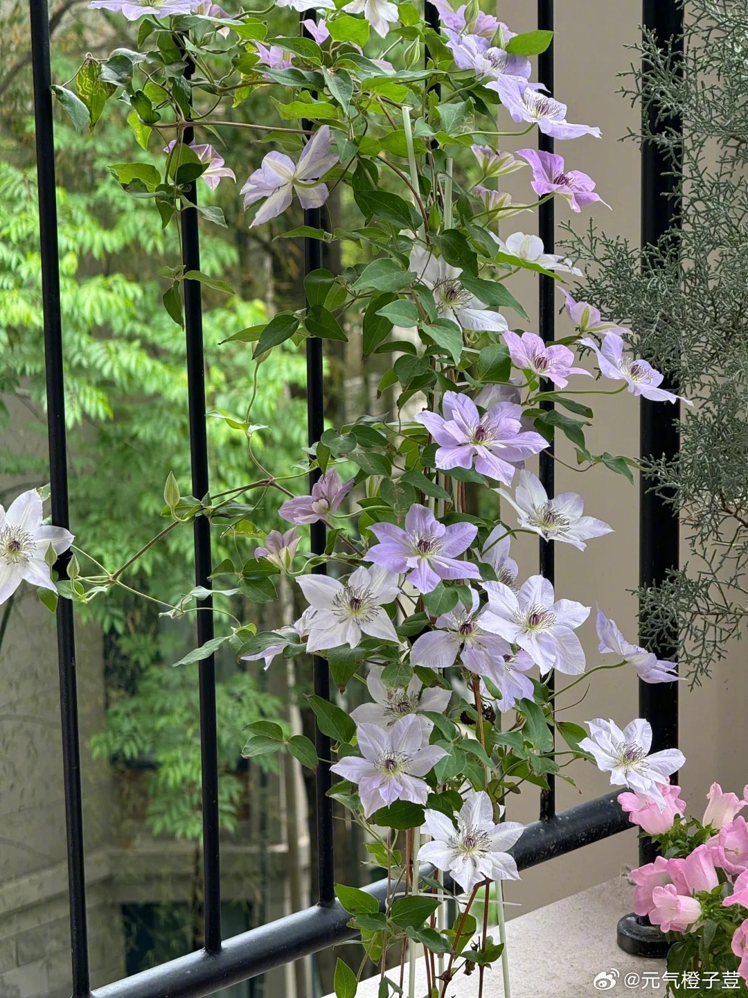 真正的生活，或许从「停顿」开始。慢下来，仔细听街边的声音，慢慢做自己的饮食，停下