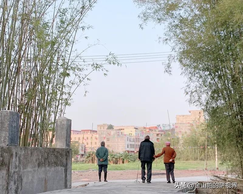 理想的乌托邦，现实的微积分。几家结伴养老，这个提议听起来温暖而美好，像一幅夕阳红