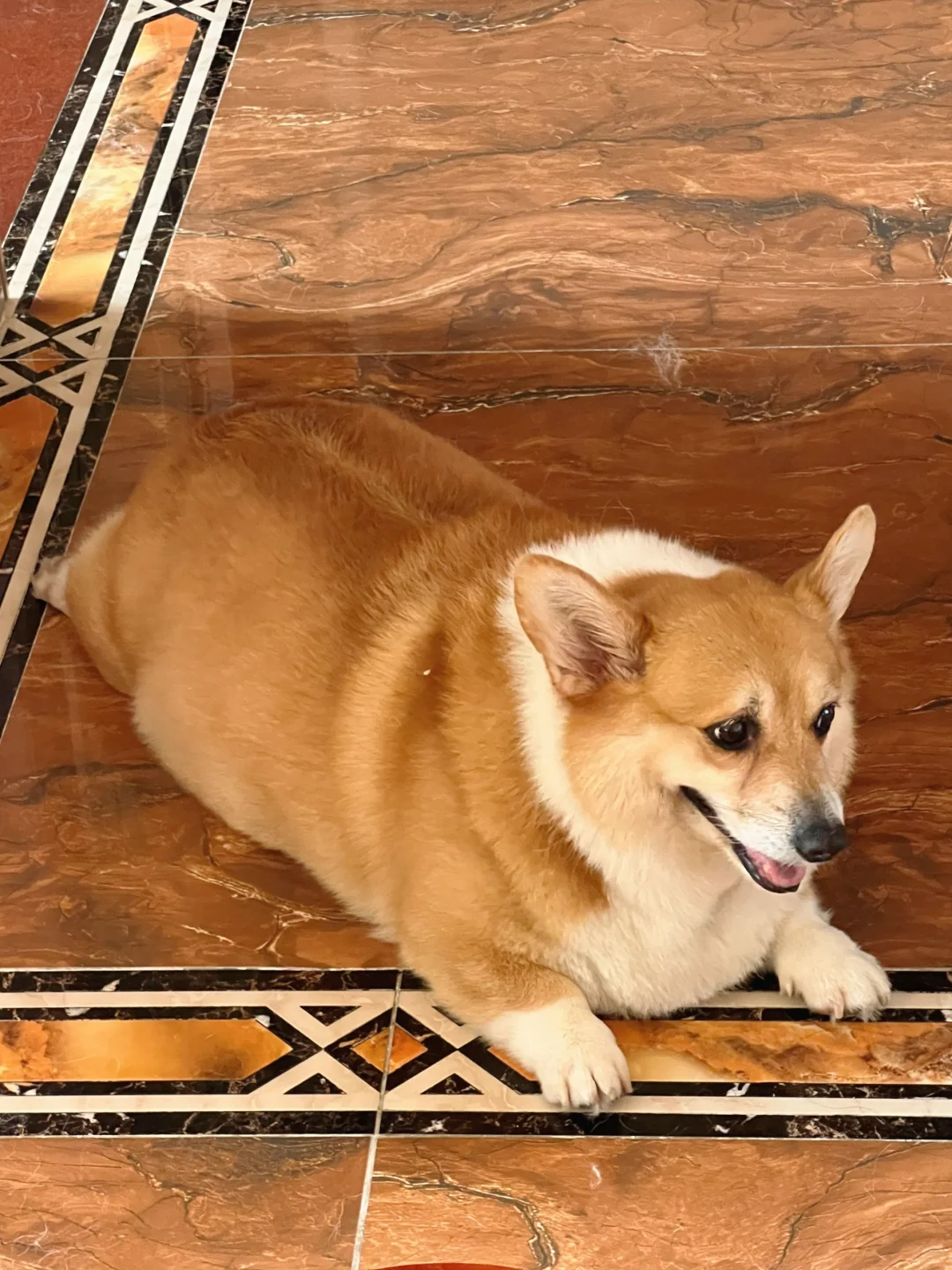 一般来说我都不会把卡车停在客厅，除非….