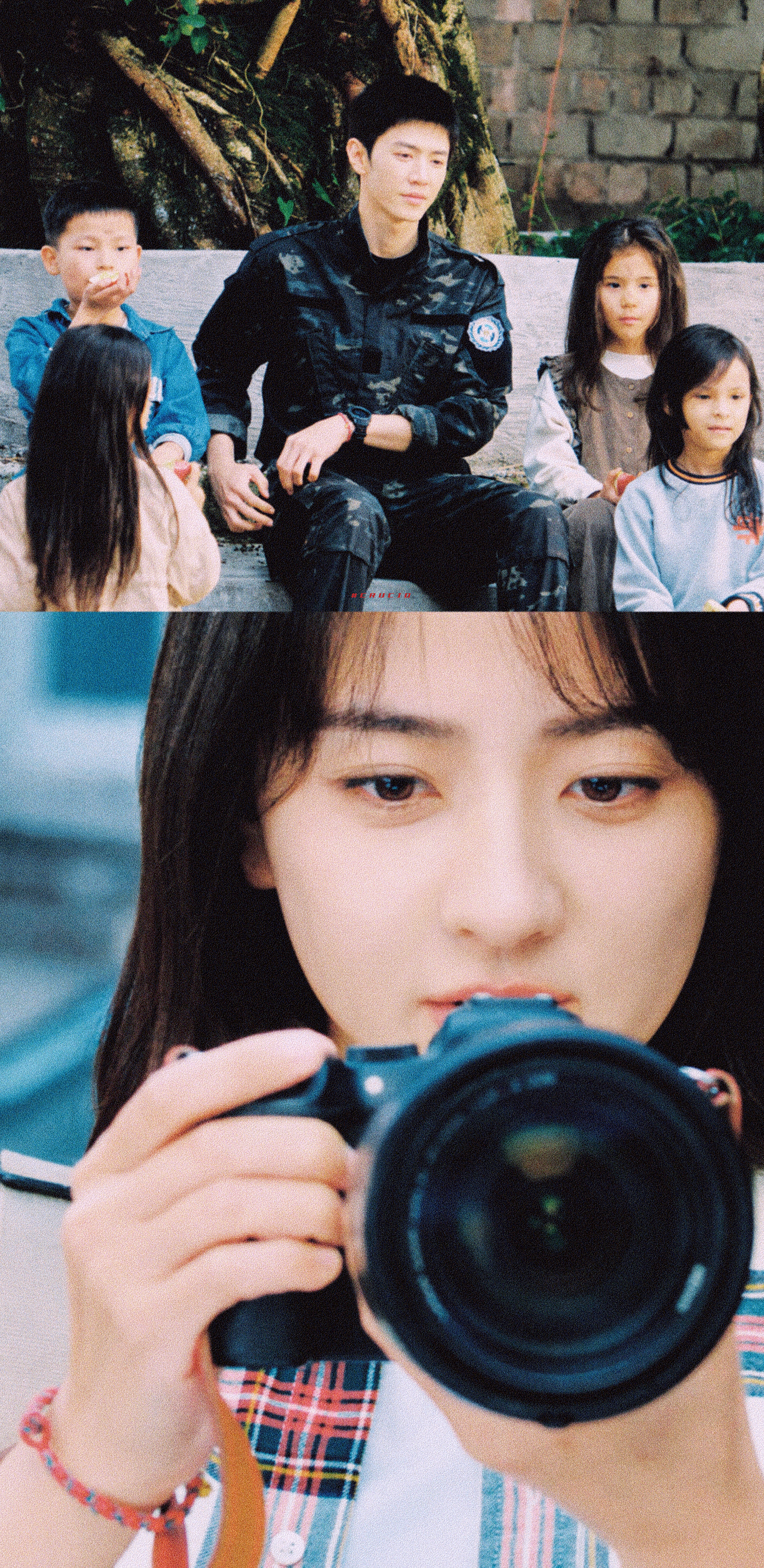 白色橄榄树 💧 