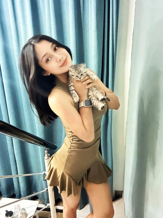 谁不为小猫着迷呢