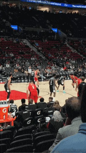 NBA赛场搞笑一幕，要不是人多，估计就把小杨抱洞房去了[捂脸]