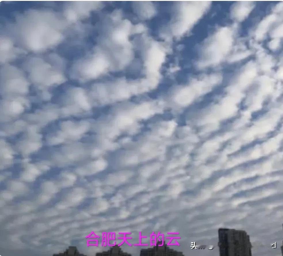 合肥地震云之说遭专家否定:
没有科学依据证明云能提前预示地震，
一个是地壳运动，