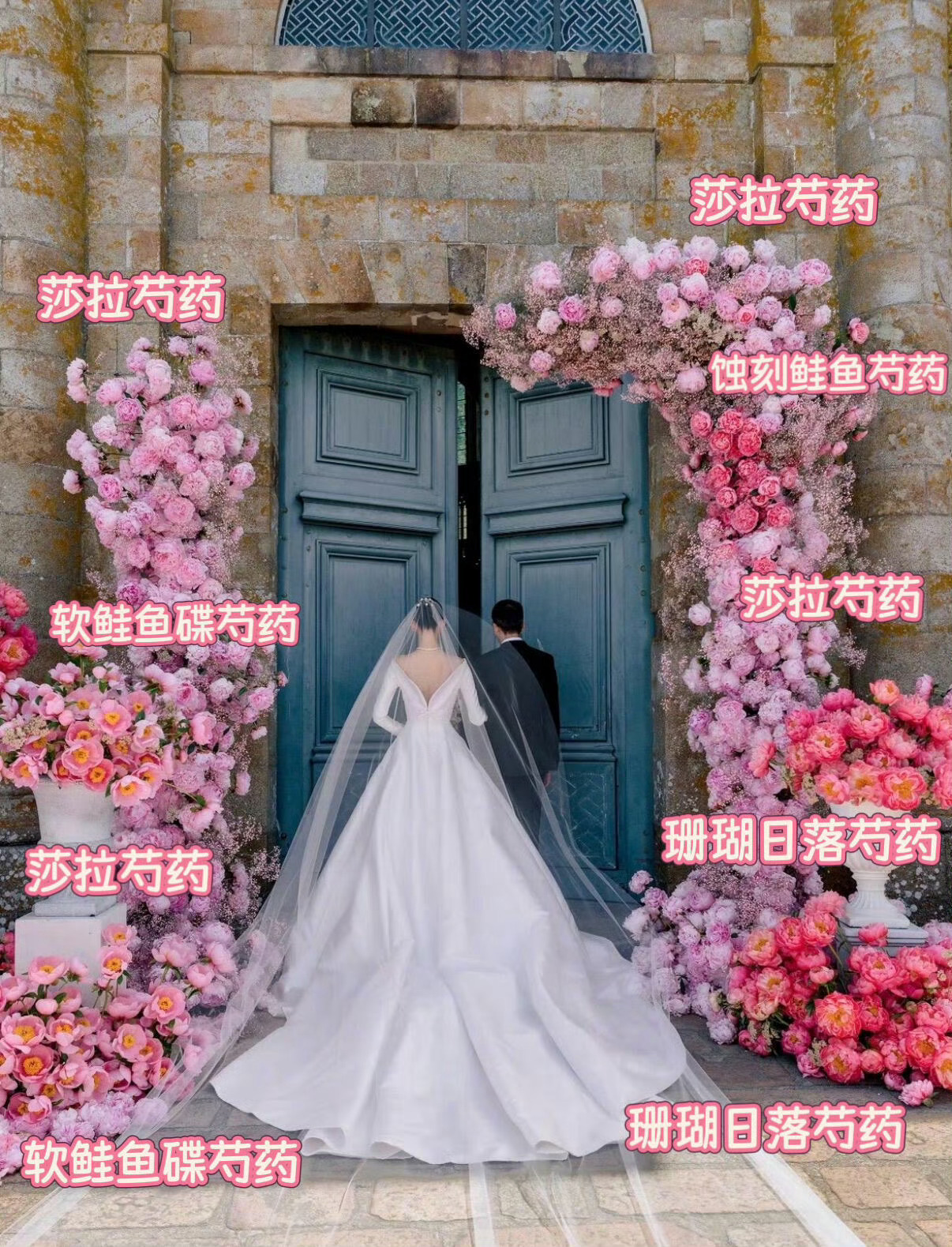 一支一百的芍药何猷君弄了几万枝超爱