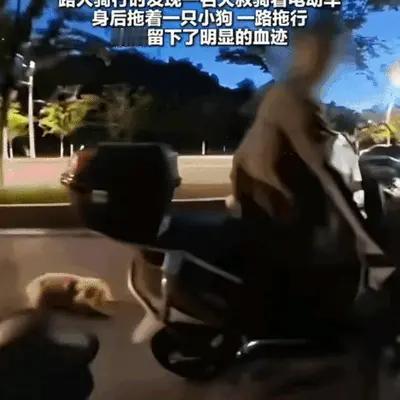 "心太狠了！"男子晚上骑行，遇到一大叔将小狗拖行，血流一路，男子把大叔截停，询问