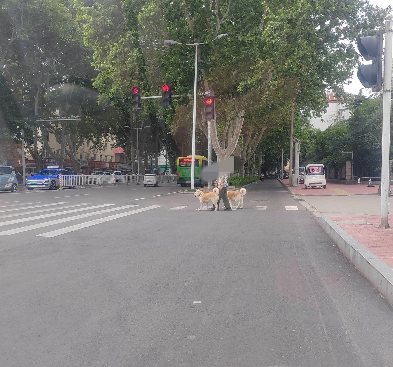 这是今天早上7点半左右，在中兴路联通公司门口看到的一幕，一个上了年纪的男子，手牵