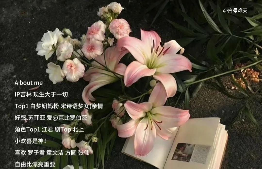 属性呀
白晕难天 白鹿 开到荼蘼