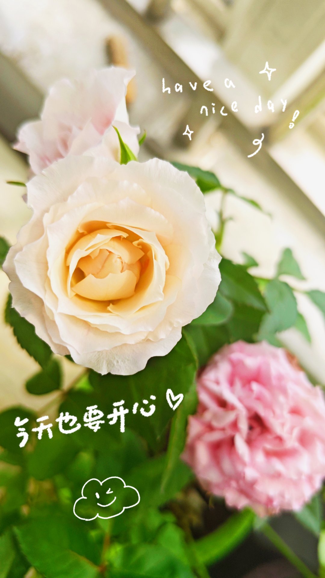 海神王确实好看[爱慕]今天也要开心 ​​​