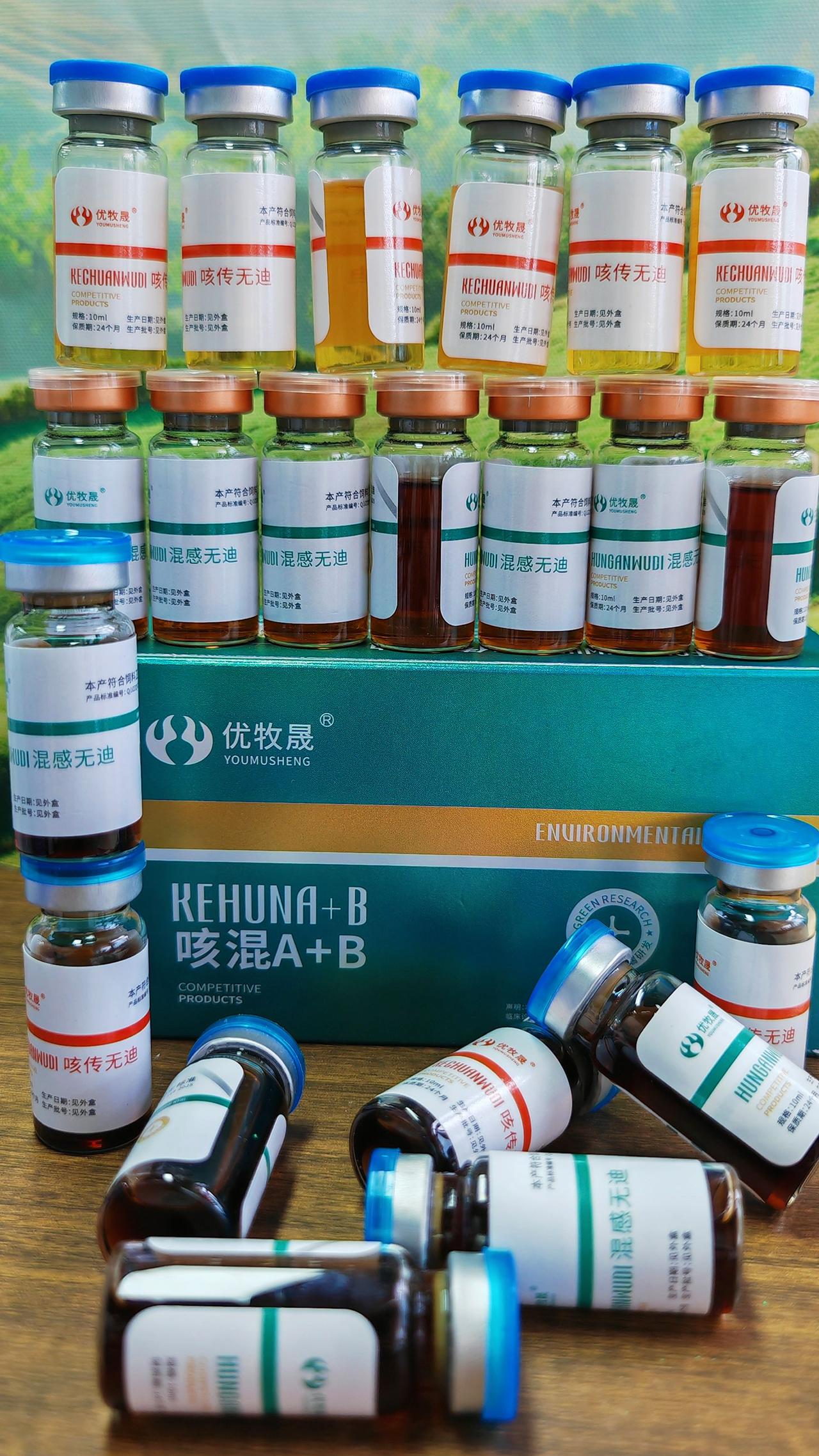 养羊人 农村养羊 牛羊养殖