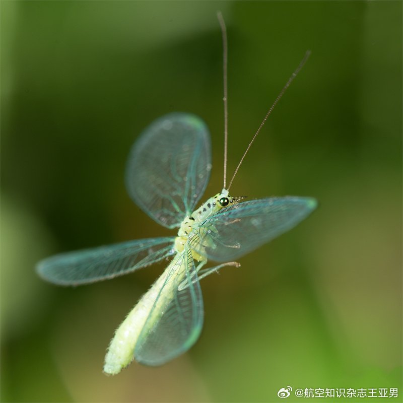 从1999年迈进航空工业的工厂，马上就到25个年头了。25年来，从万江老厂大门外