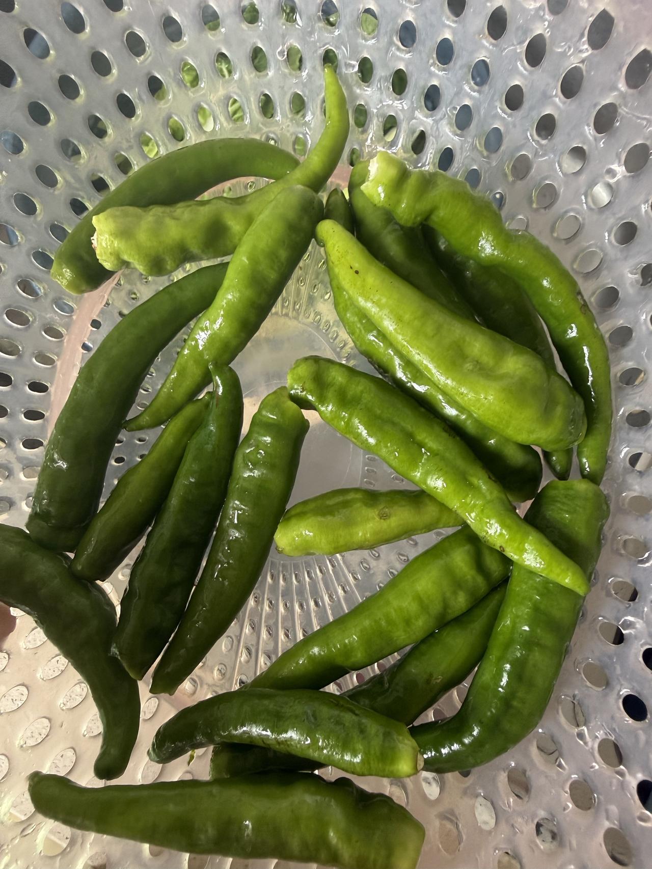 菜市场的老板都会读心术，你信不信？

反正我信了。

今天去买辣椒，又栽了一回。
