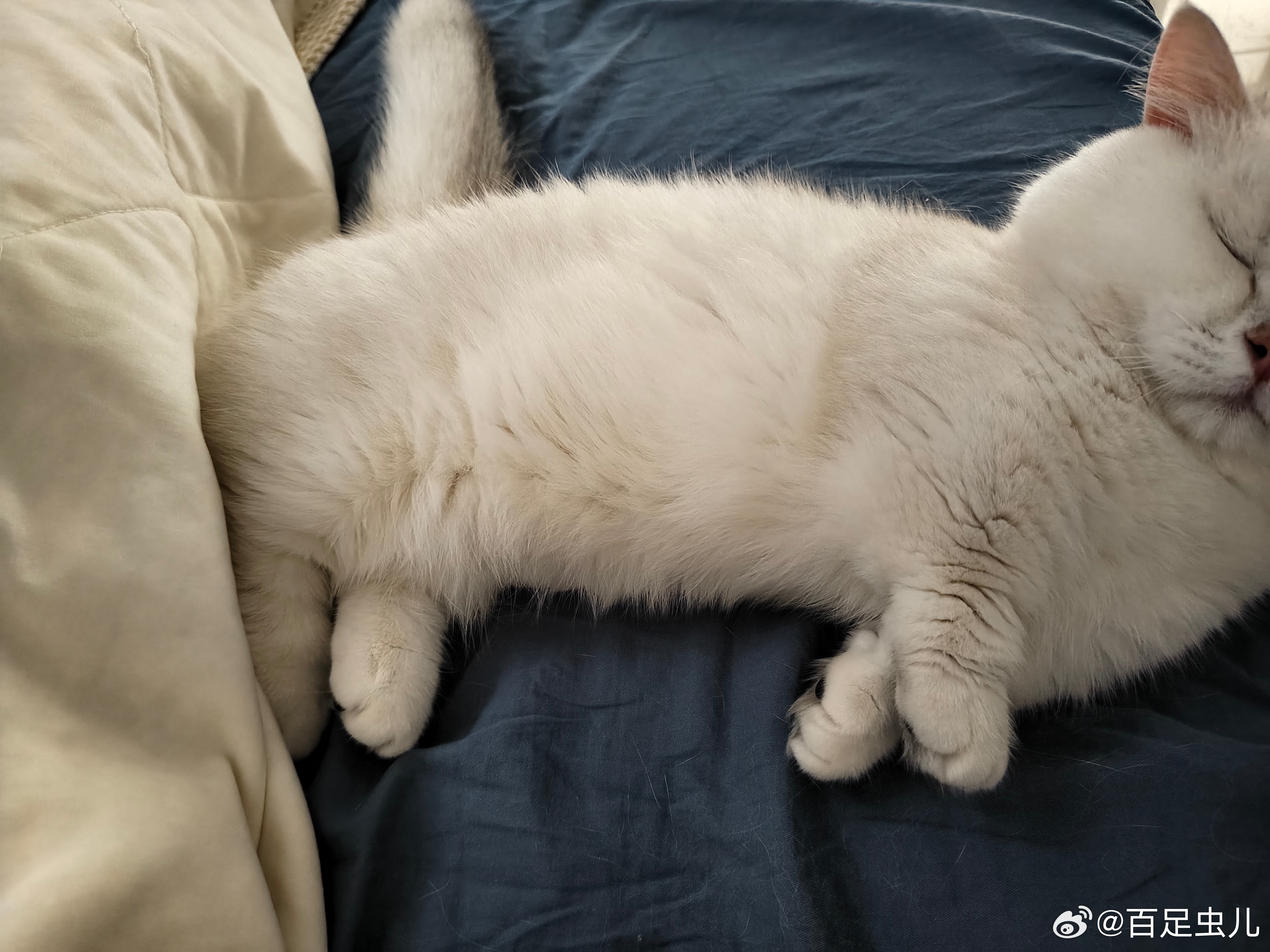 A股下午继续绿，持仓品种继续逆势上涨 刚午睡醒，睡个觉感觉屁股老是被东西挤，我想