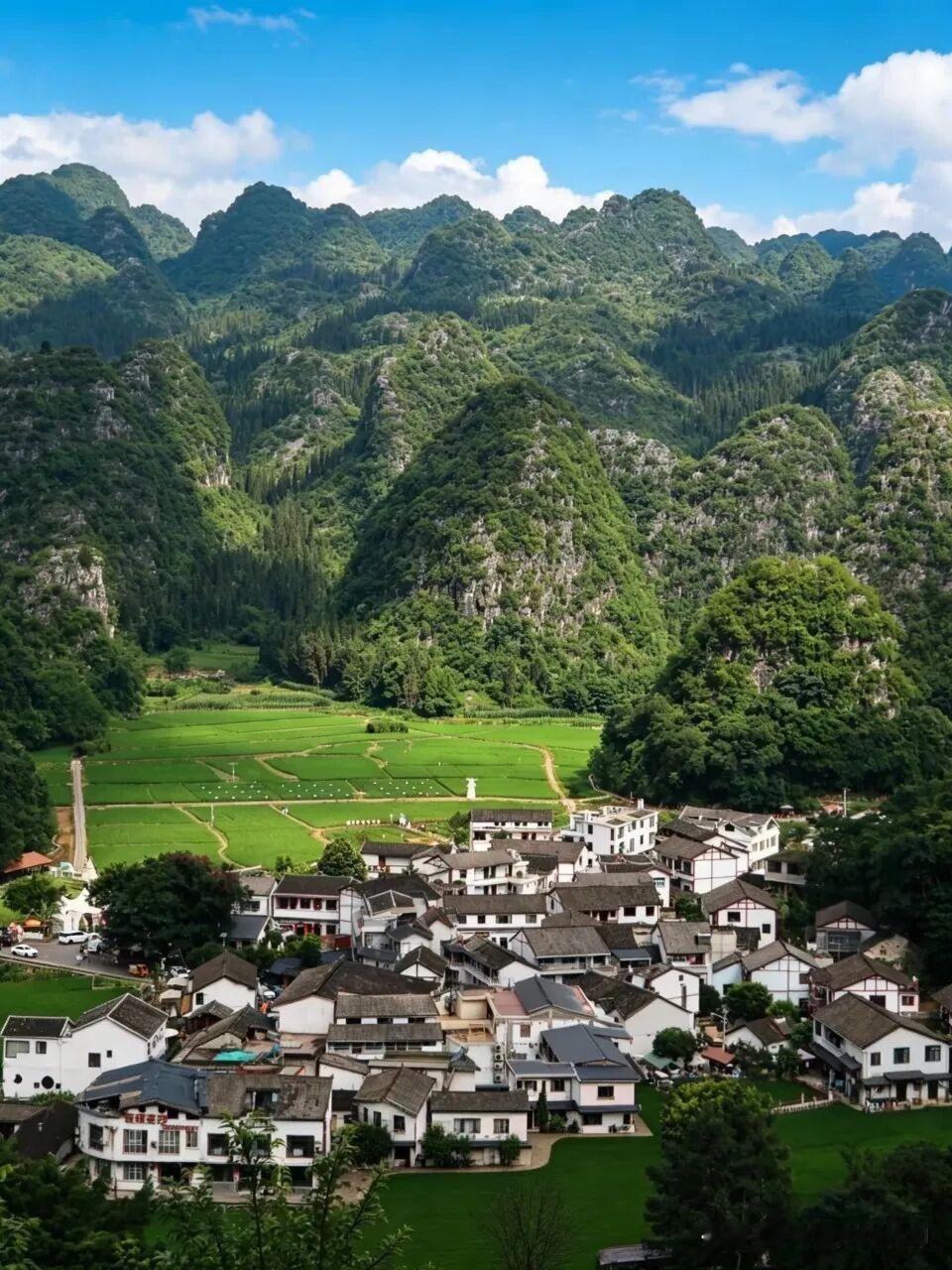 夏日生活打卡季