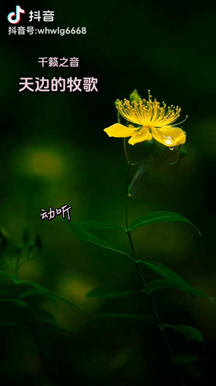干籁之音。
天边的牧歌，动听。