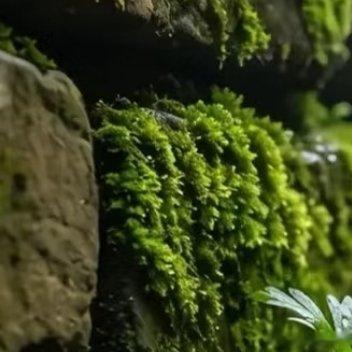 如果你做一件事情的动力来自你的内心，你就永远没有对手。阳光信用 每日一善