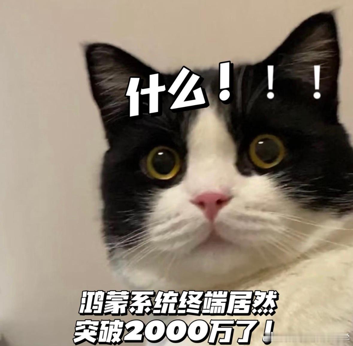 余承东宣布鸿蒙5终端设备超2000万 从 0 到 1000 万将近 10 个月，