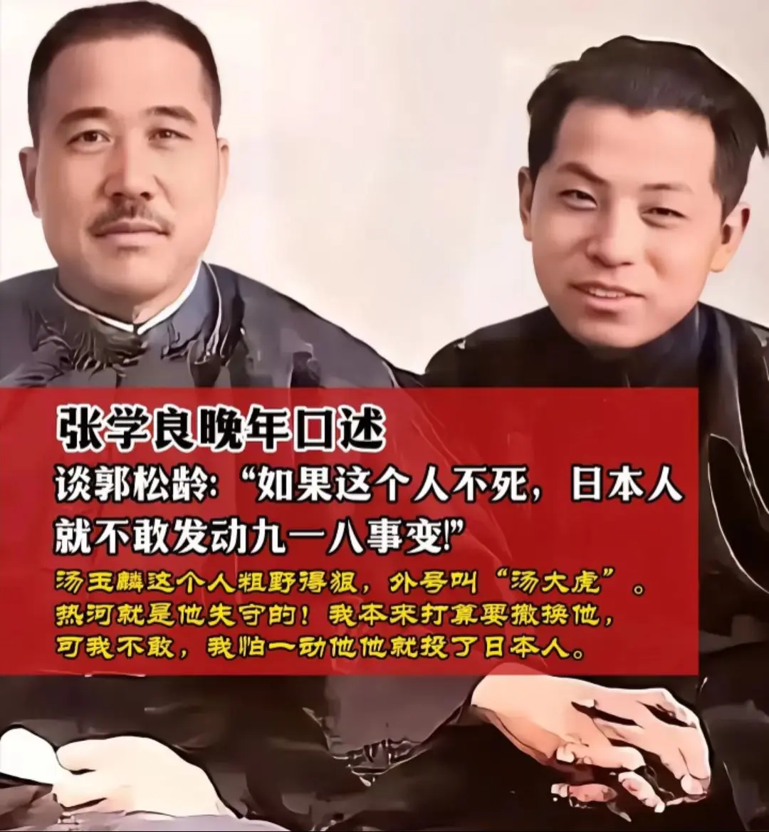 少帅张学良 致敬历史