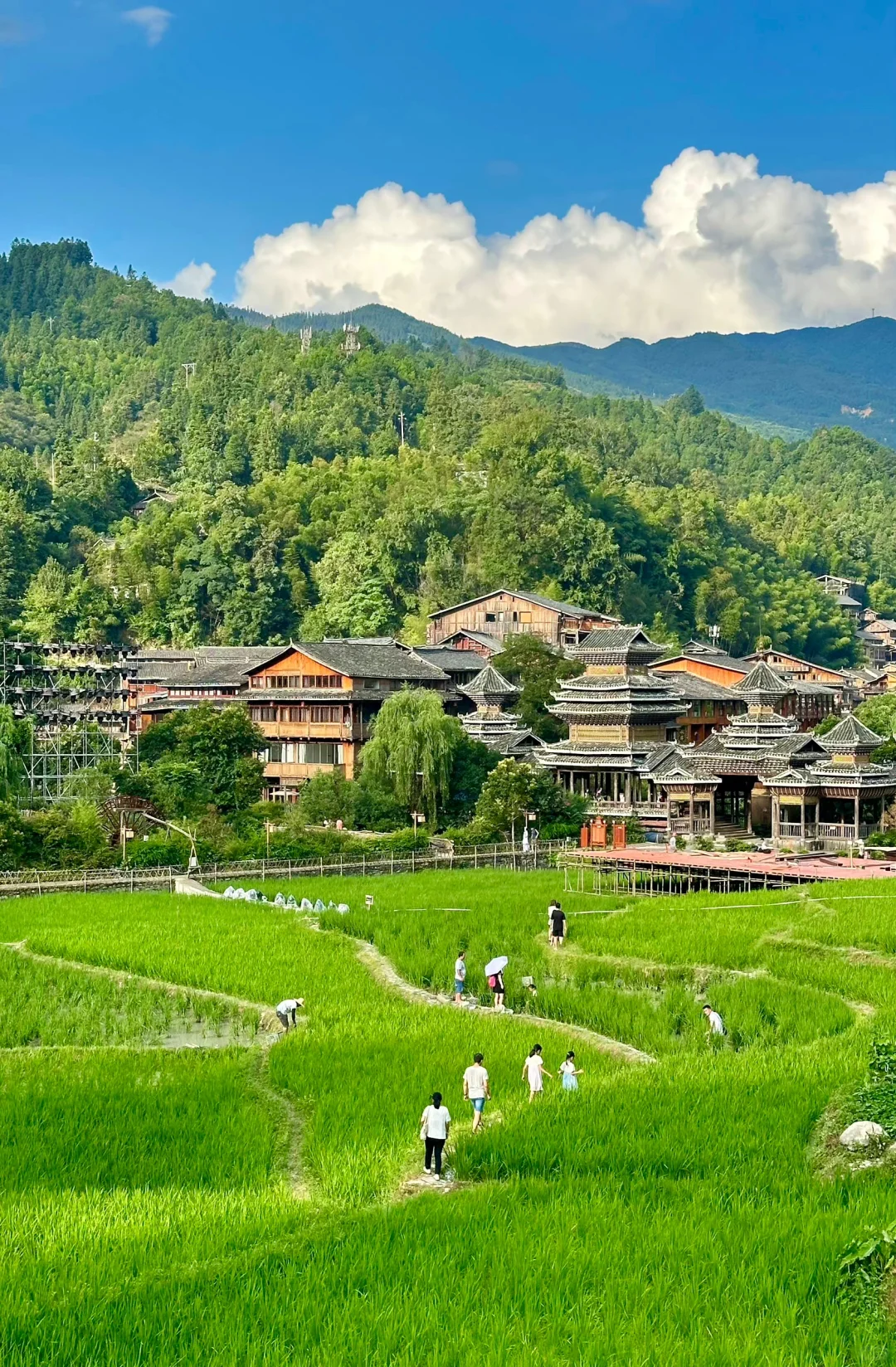 🏠超赞民宿体验！下次还来！🌟