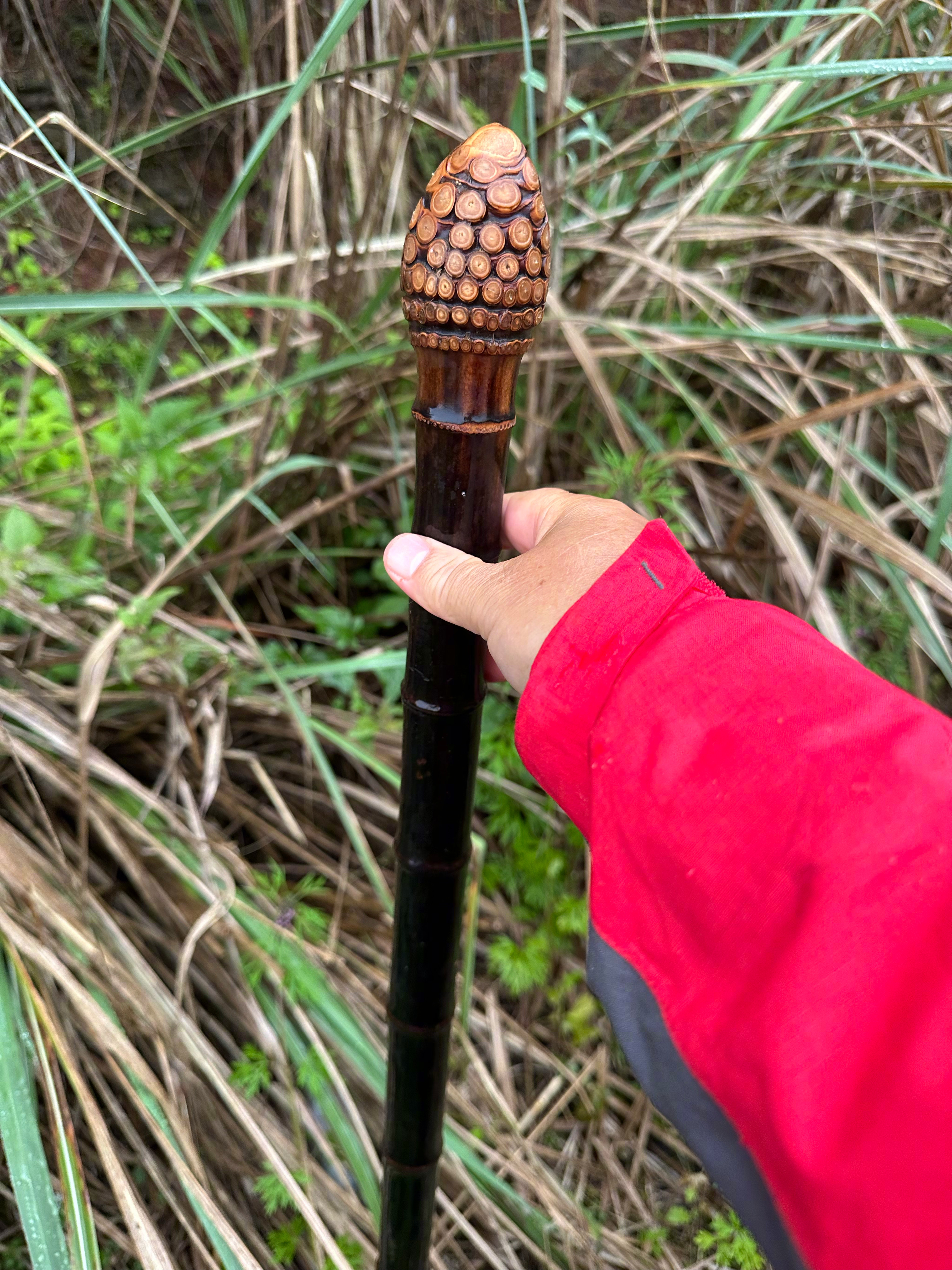 每次翻山越岭走水边陡坡去大水库野钓，一起钓鱼的钓友钓不到鱼时，我却常常会爆护！大