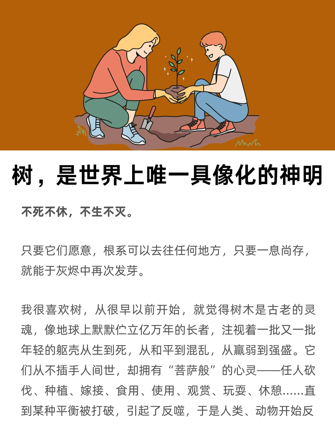 树，是世界上唯一具像化的神明