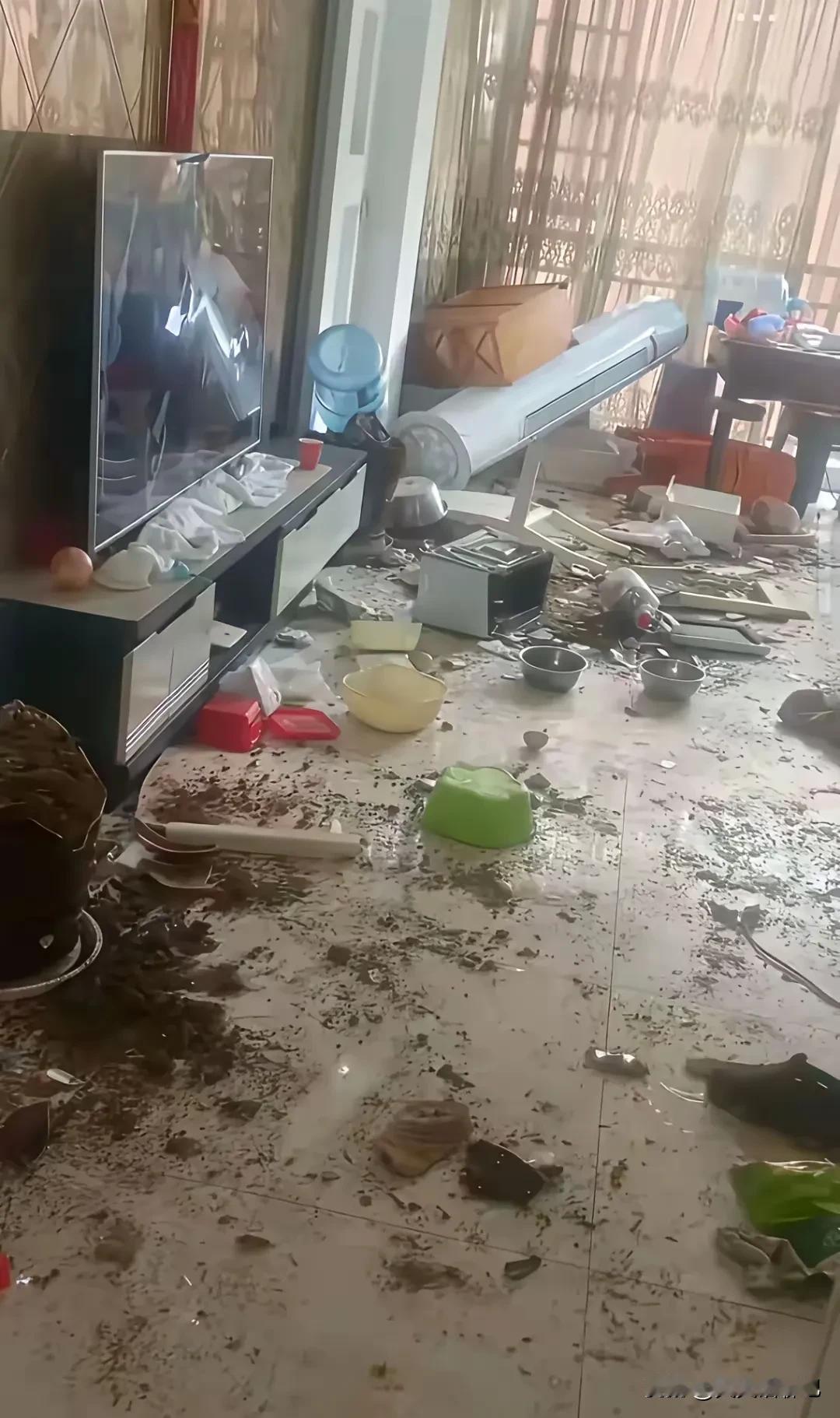 这应该算是家暴吧，
虽然没打女主人，
但是打砸了家里的一切，
这一家该有多大的心