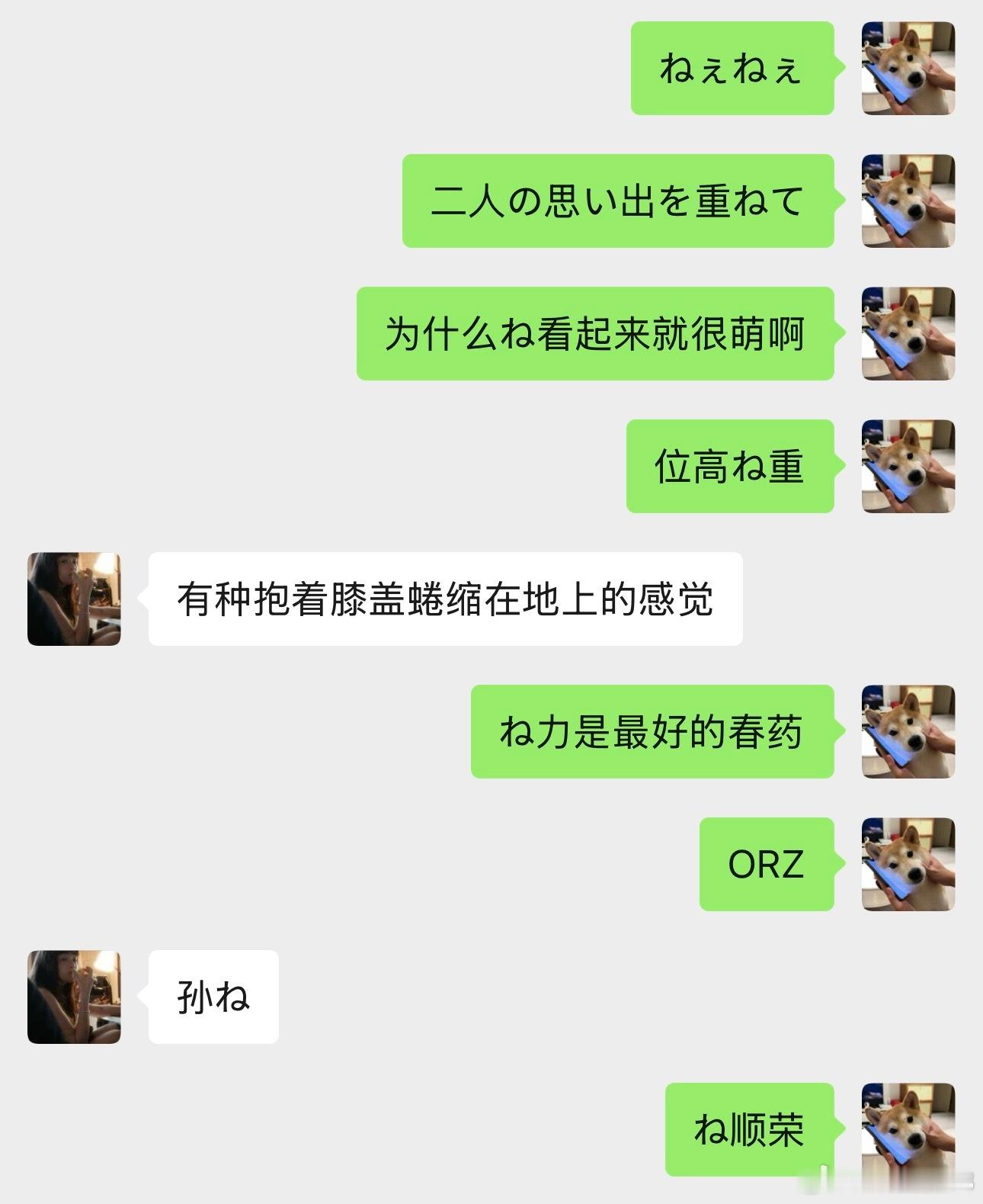 ね力的游戏 
