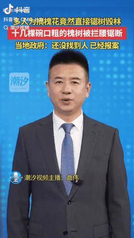 陕西咸阳，一男子用无人机打算拍些山林风景，结果拍到了多位村民在砍伐槐树，目的只是