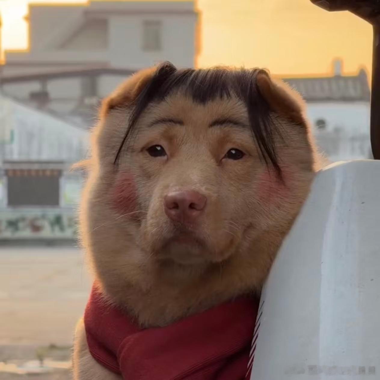 新头像！！！