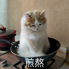 没有路透的日子，这个班好难熬 