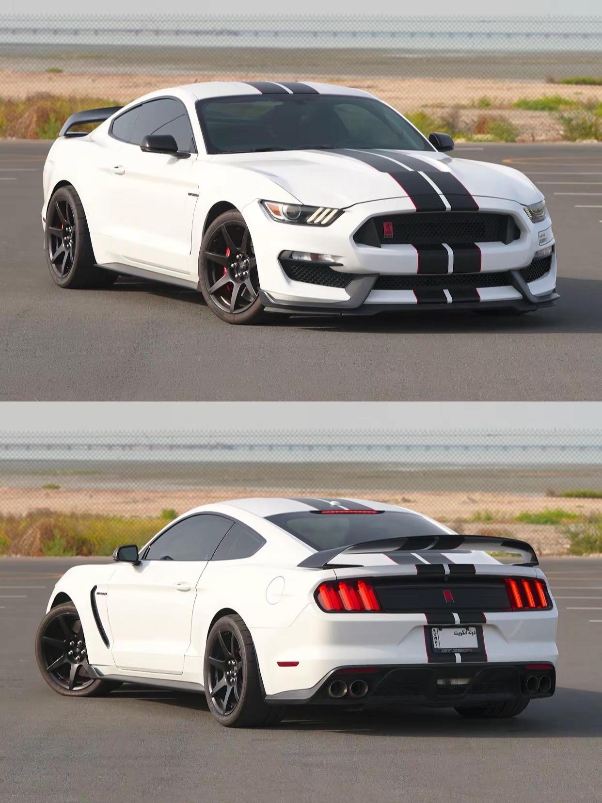 福特野马Shelby GT350R.2019款福特野马Shelby GT350R