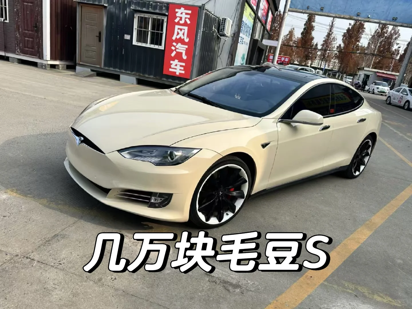 几万块，爽毛豆S
