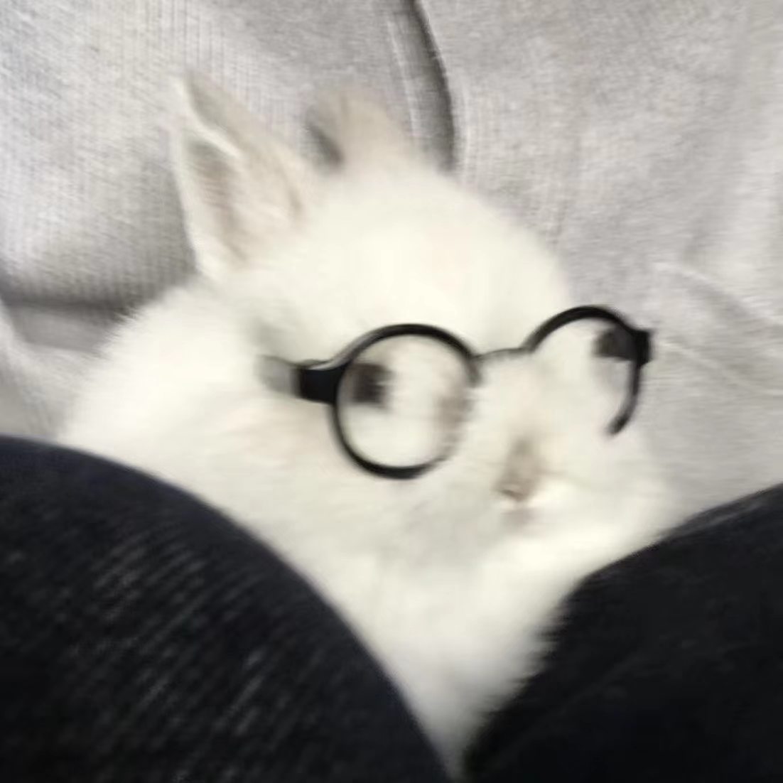 Shanebunny🙂‍↕️ ​​​
