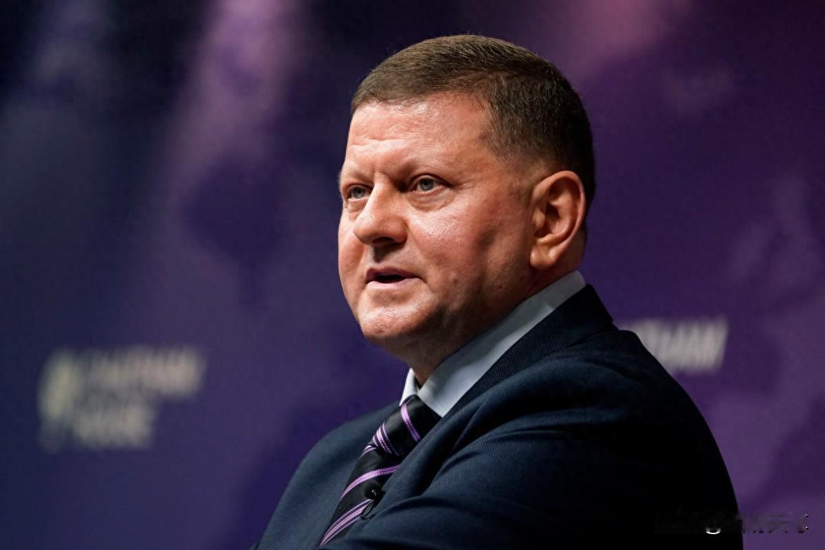 扎卢日内可能要回到乌克兰了，对此泽连斯基也是很担心，因为扎卢日内的支持率比他高，