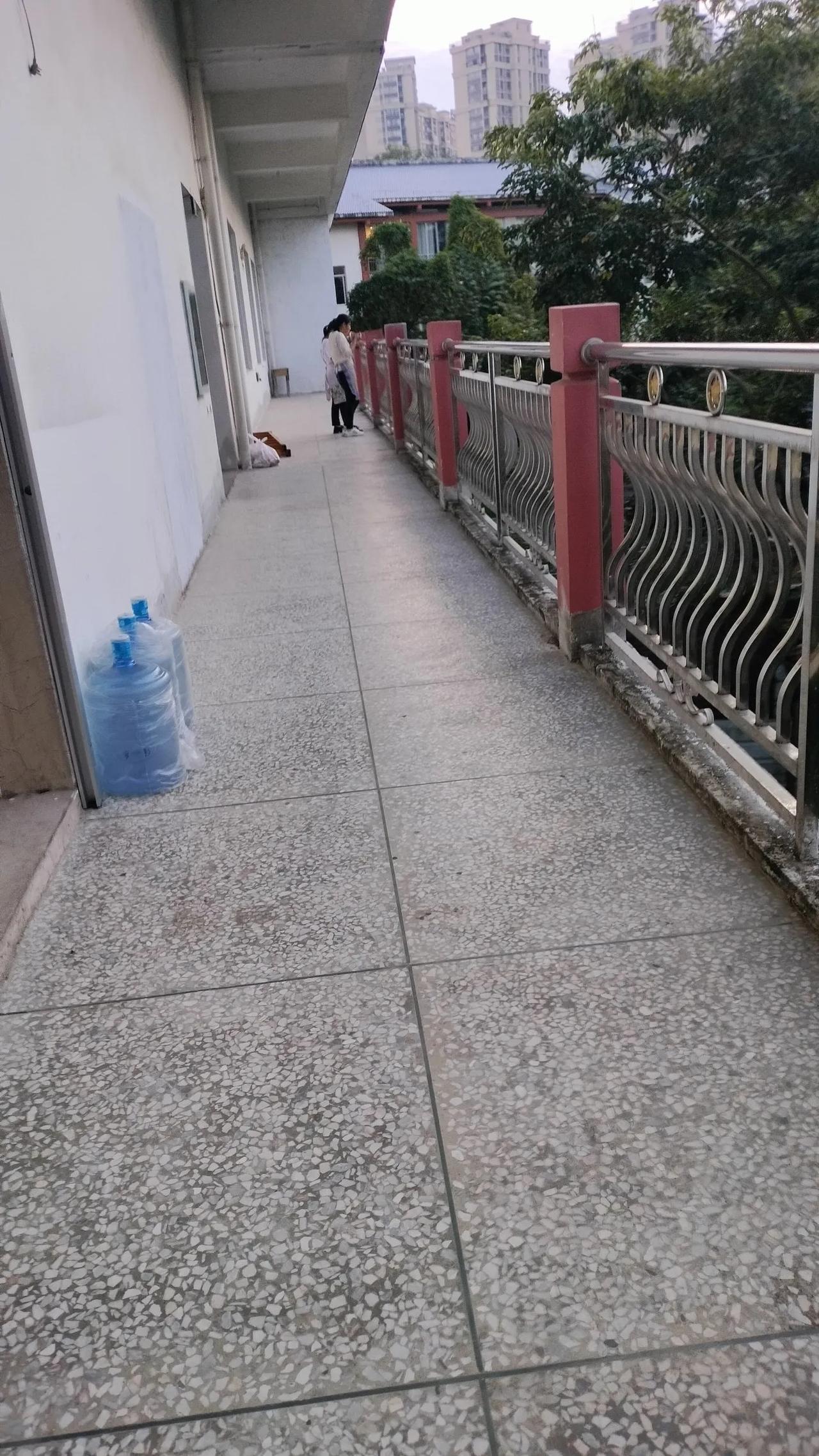 冬日随手拍