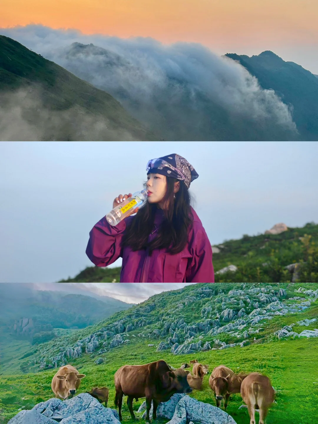 闯入秦岭“墨石公园”⛰️2天1夜日出云海攻略！