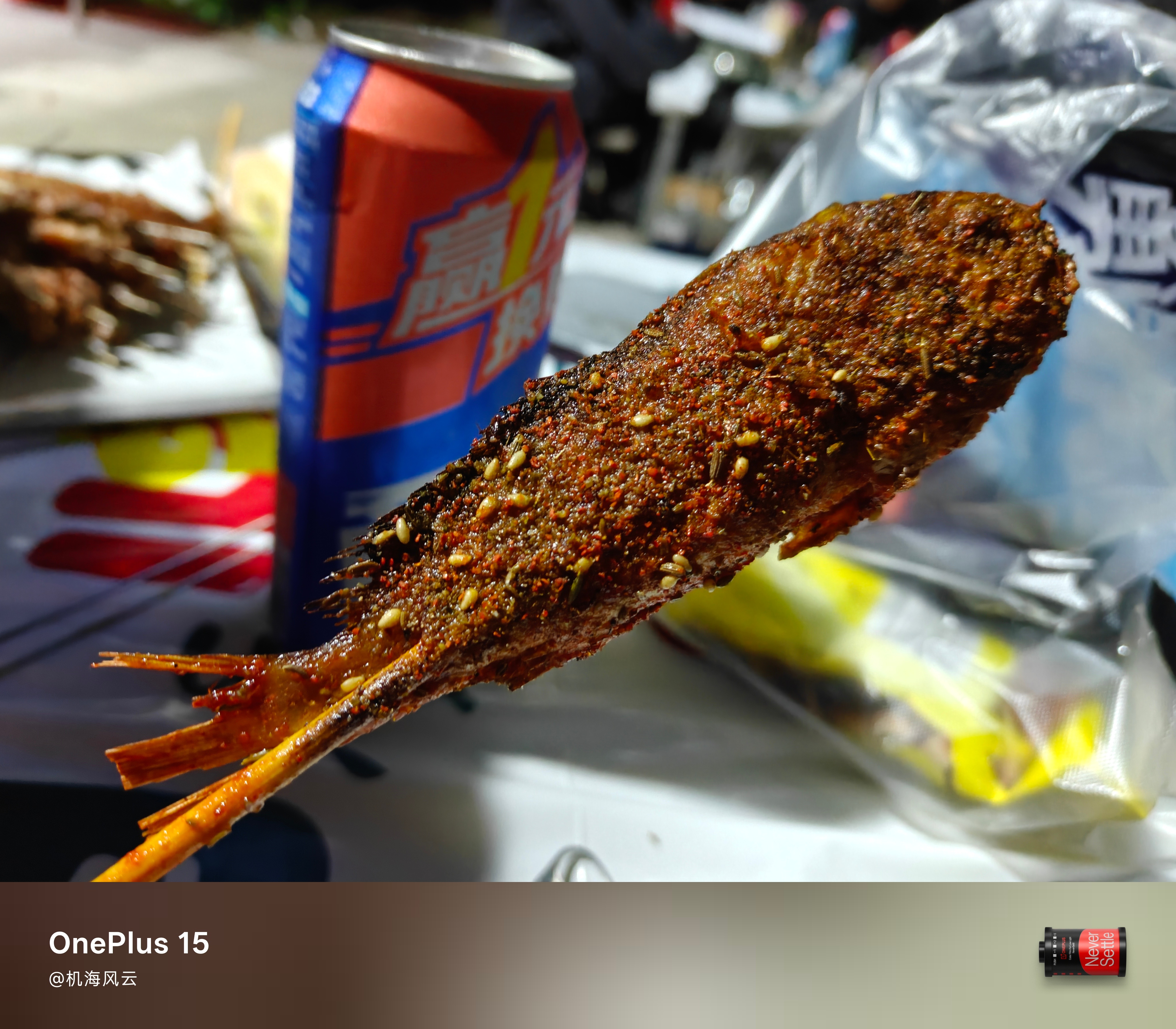 支持地摊经济，搞点小烧烤🍺 