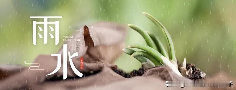 今日雨水，这可是二十四节气里第二个节气。雨水和谷雨、小雪、大雪一样，反映着降水现