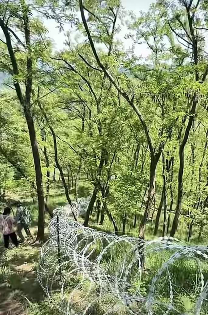 泰山景区管委会近日就“刀片刺绳隔离网”事件发布公开信，向公众致歉。信中说明，该设