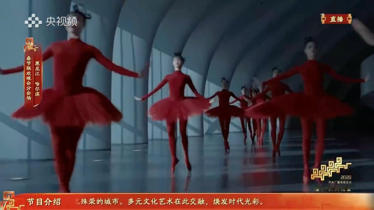 孙千红裙芭蕾孙千孙千一袭红裙亮相春晚哈尔滨分会场，好美的舞姿！！好像一朵盛开的玫