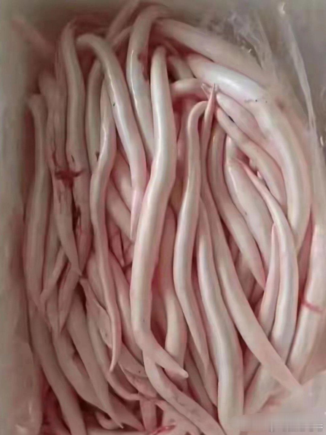 今天隔壁邻居偷偷摸摸的给我拿来一个袋子说是里面装的是好东西，打开一看，妈呀这是什