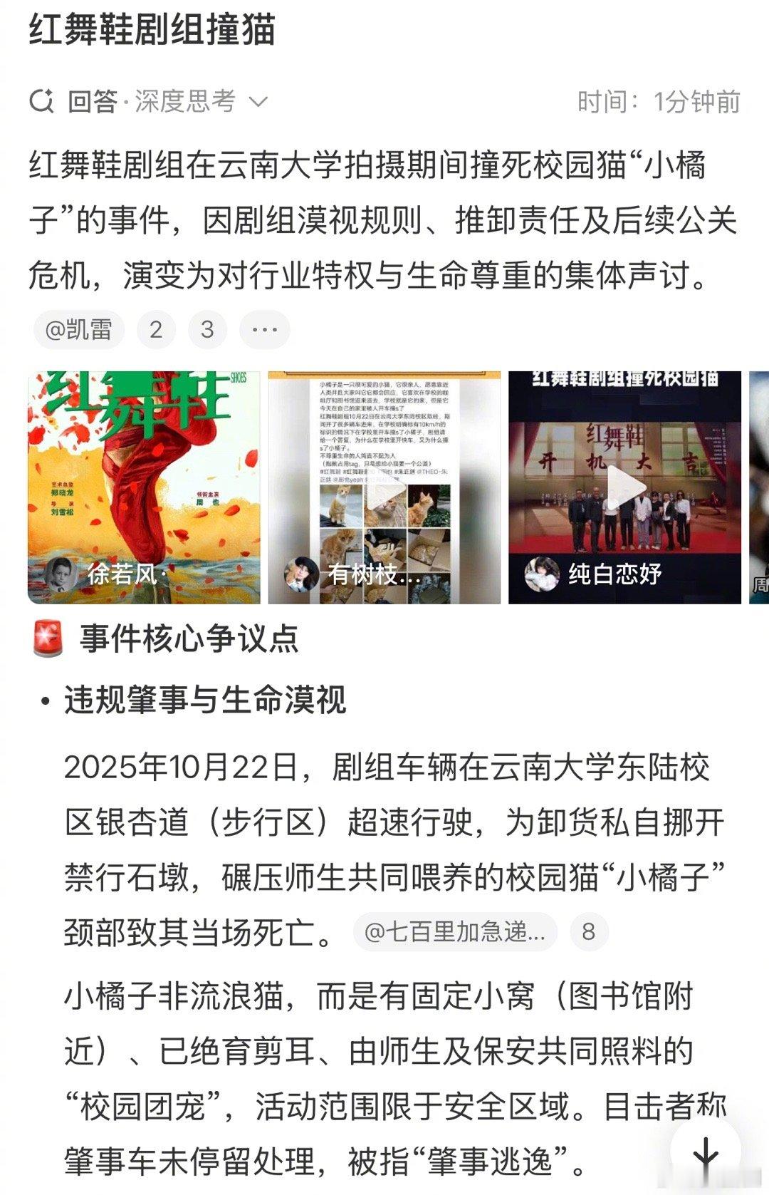 之前红舞鞋剧组撞猫事件引起热议，现在红舞鞋发捐款记录，呼吁关爱小动物～