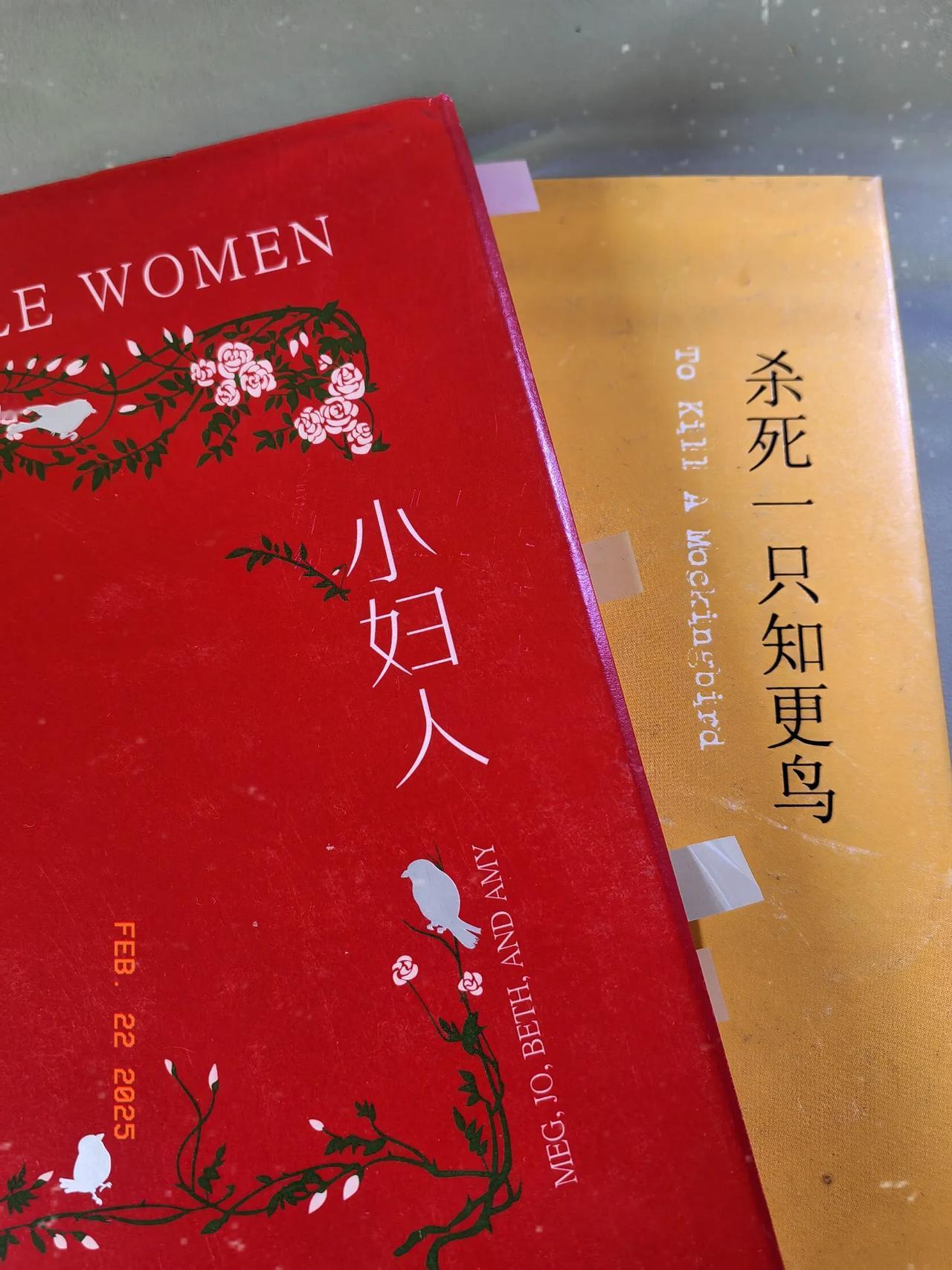 我觉得非常适合全家共读的书是《杀死一只知更鸟》和《小妇人》，可以爸爸妈妈领着孩子