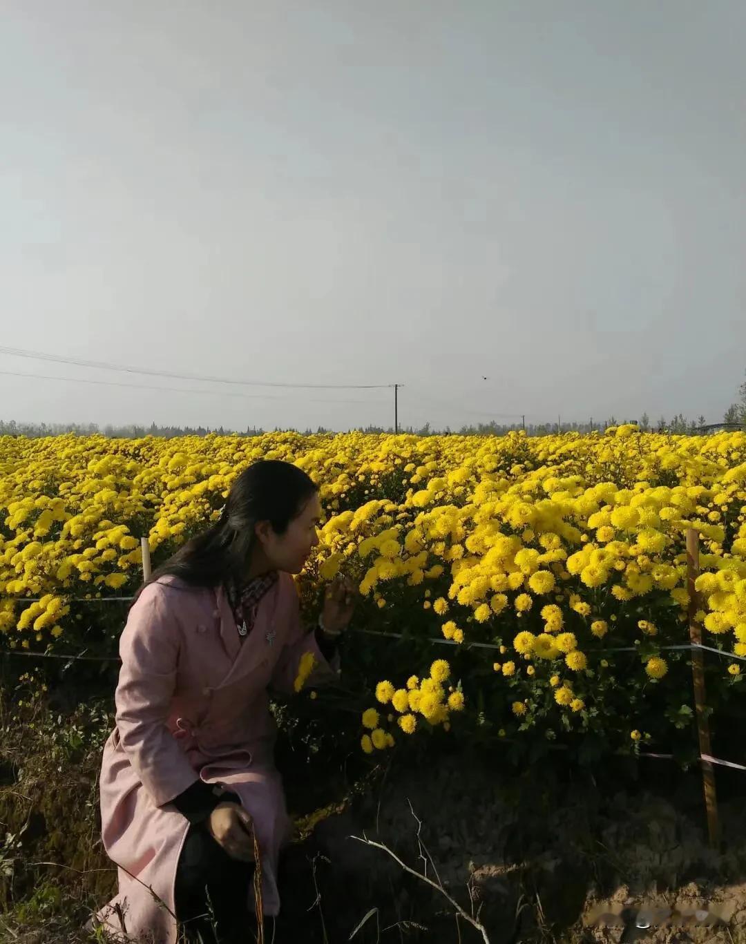 冬日宅家日常不知道是什么机缘巧合竟然让自己干起了不出镜的读书直播。之前我以为只要