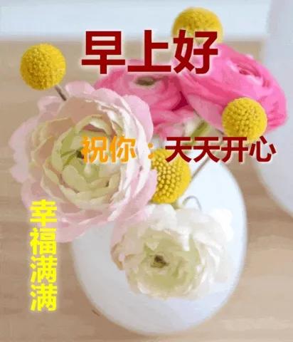 一声祝福，让心情欢快愉悦；一声问候，让心情豁然开朗。
愿朋友们生活愉快，每天精神