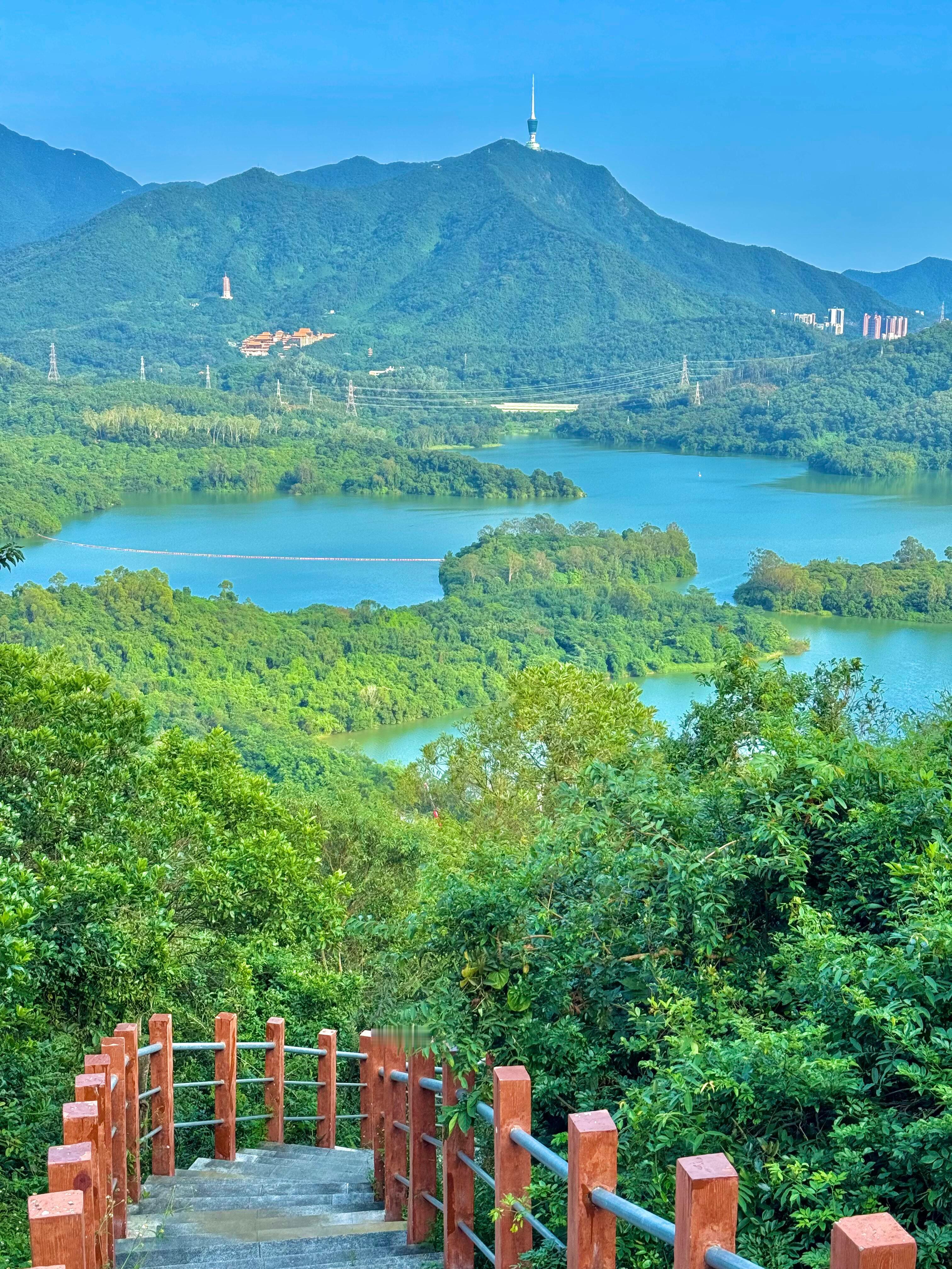 深圳好玩的地方都是免费的 你们还去过哪些地方呢？深圳蕞好玩的地方都是免费的！附拍