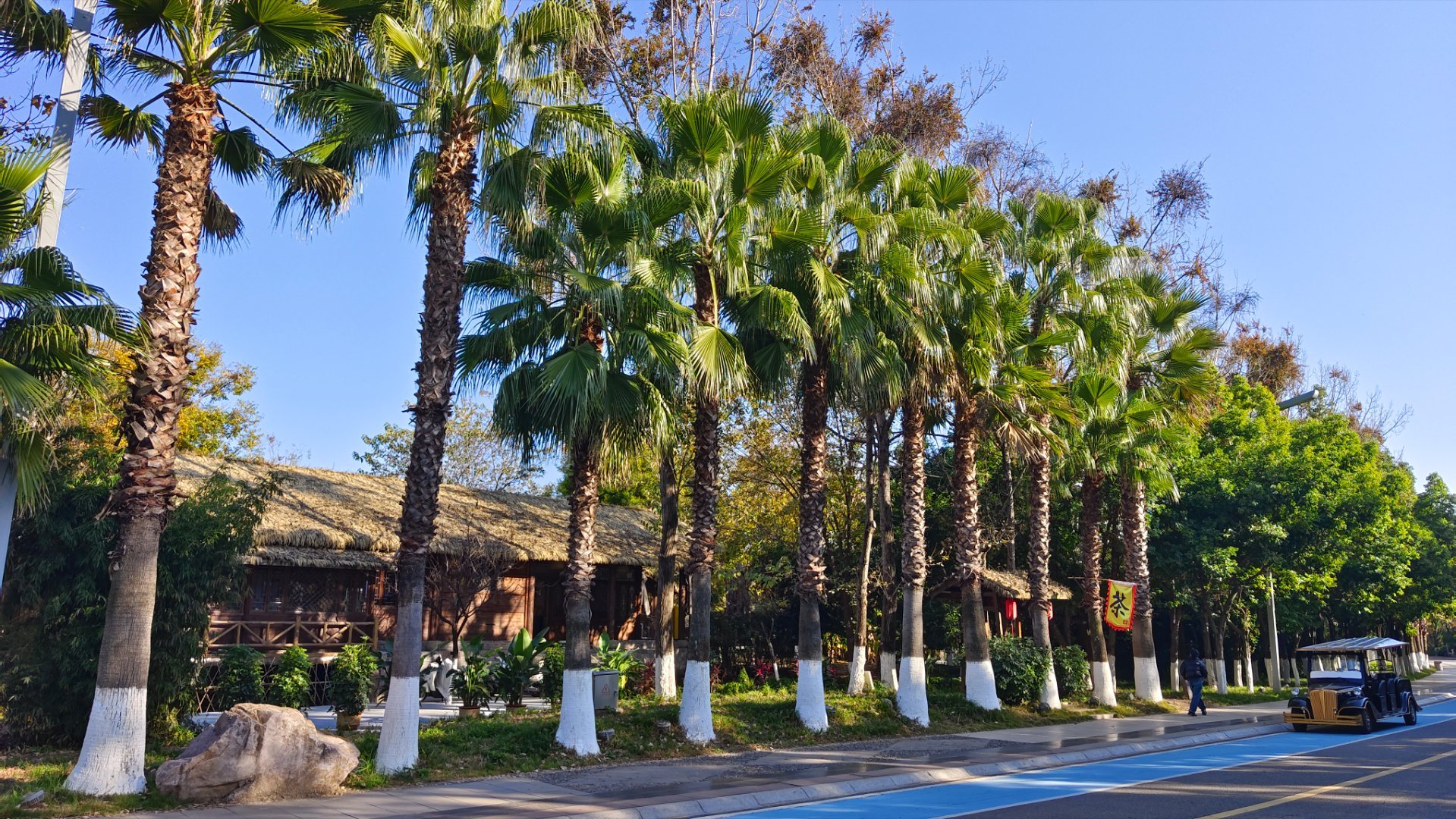 逃离雾霾，穿回短袖 